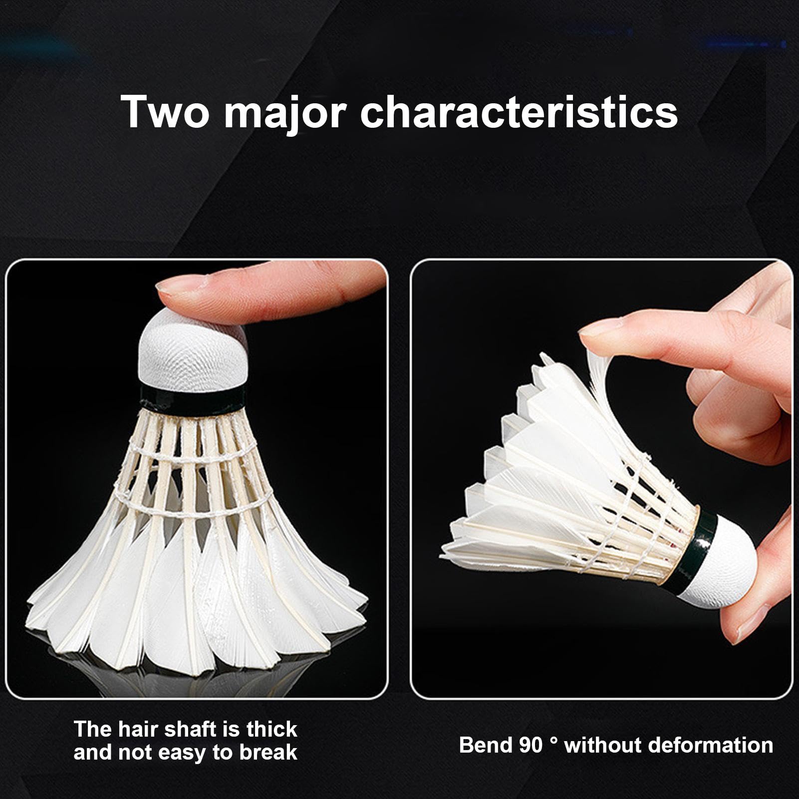 Amazon.co.jp: 12 Badminton Shuttle Blades White Training Ball